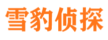 封丘侦探公司